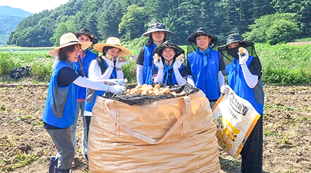 농촌 봉사활동 사진