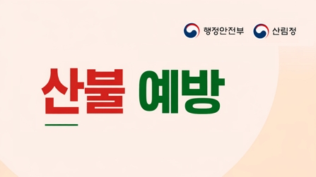 행정안전부 산림청산불 예방실수로 산불 시 3천만 원 이하 벌금 또는 3년 이하 징역산림이나 산림인접지역에서 불을 피우거나 불을 가지고 들어가면 200만 원 이하 과태료